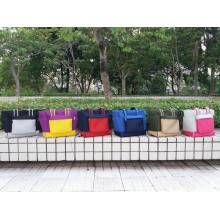 Pet Access撞色厚墊帶網料手挽背包細碼