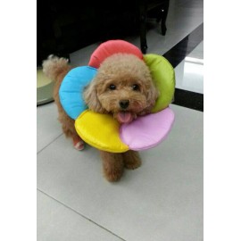 Pet Access 彩虹花頭罩 (S 碼)  Pet Access 彩虹花頭罩 (S 碼)