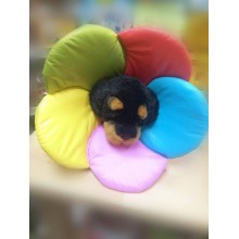 Pet Access 彩虹花頭罩 (L碼) 