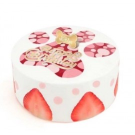 MY PET PATISSERIE 雜莓乳酪蛋糕 (1磅)