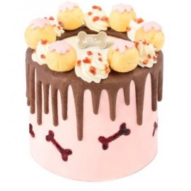 MY PET PATISSERIE 彩虹蛋糕 (2磅)