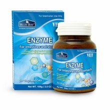 倍力酵素整腸劑100g