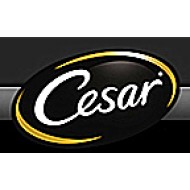 CESAR-西莎