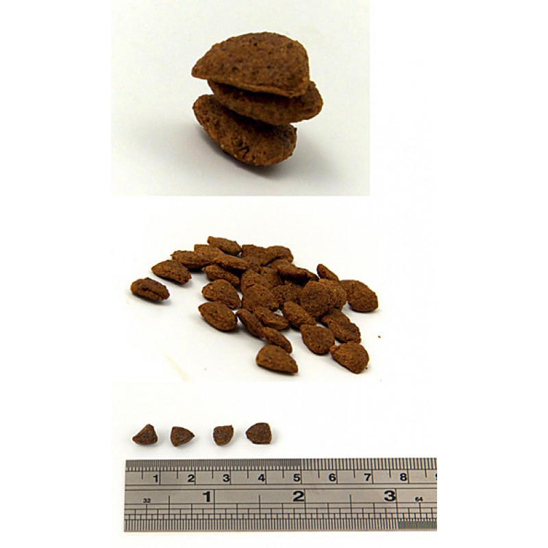 FISH4DOG 三文魚無麩質低敏成犬玩具犬配方 1.5KG