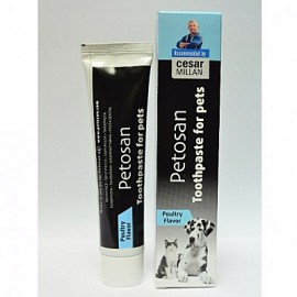 Petosan 雞肉味牙膏 Petosan 雞肉味牙膏